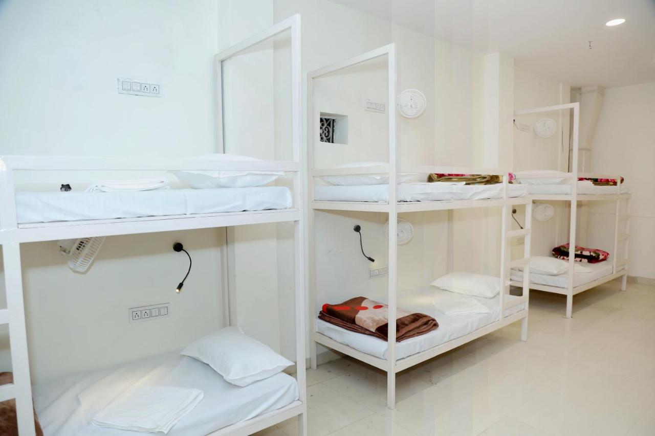 The Charlie'S Hostel Nowe Delhi Zewnętrze zdjęcie
