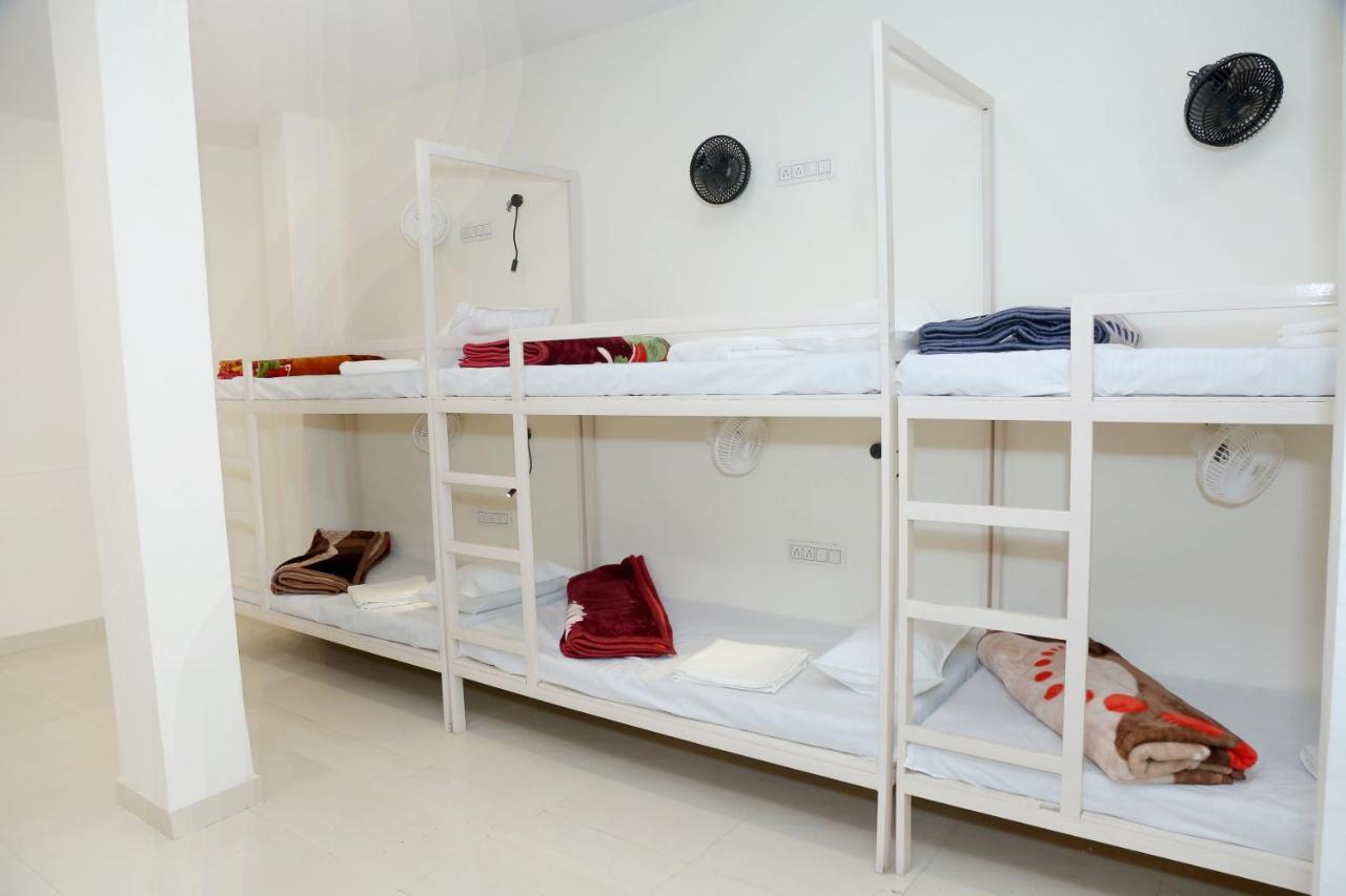 The Charlie'S Hostel Nowe Delhi Zewnętrze zdjęcie